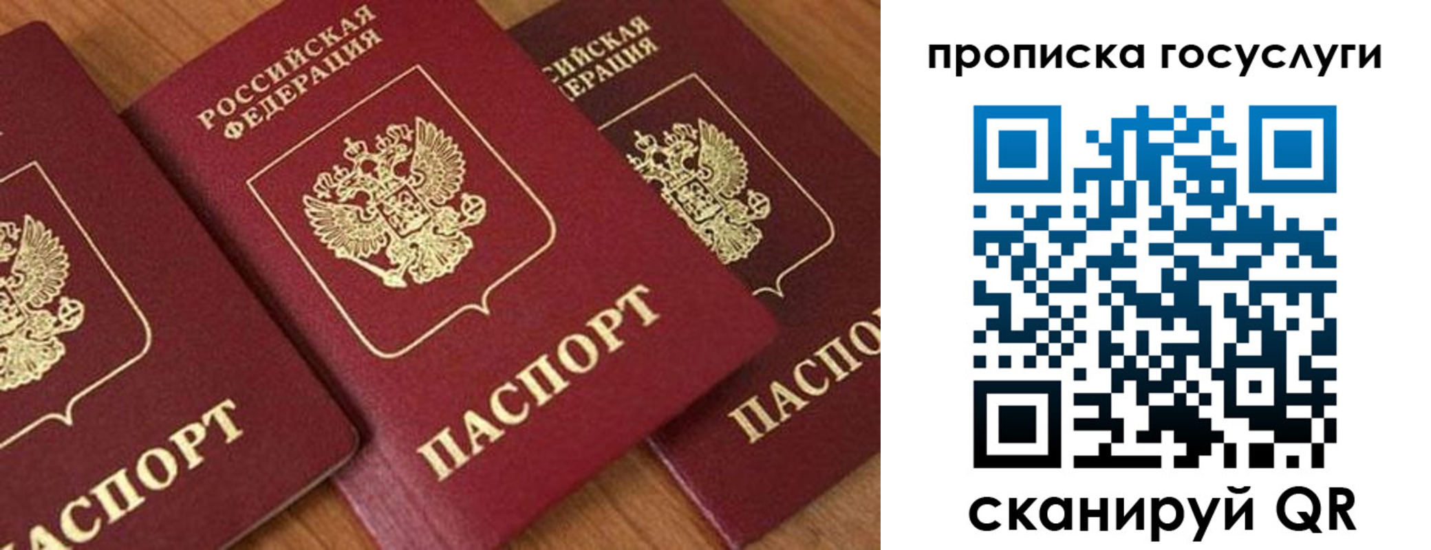 временная прописка в Скопине